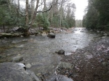 Typical water level for Indian Pass Brook - Photo Credit - Photo Credit - www.adkhighpeaks.com